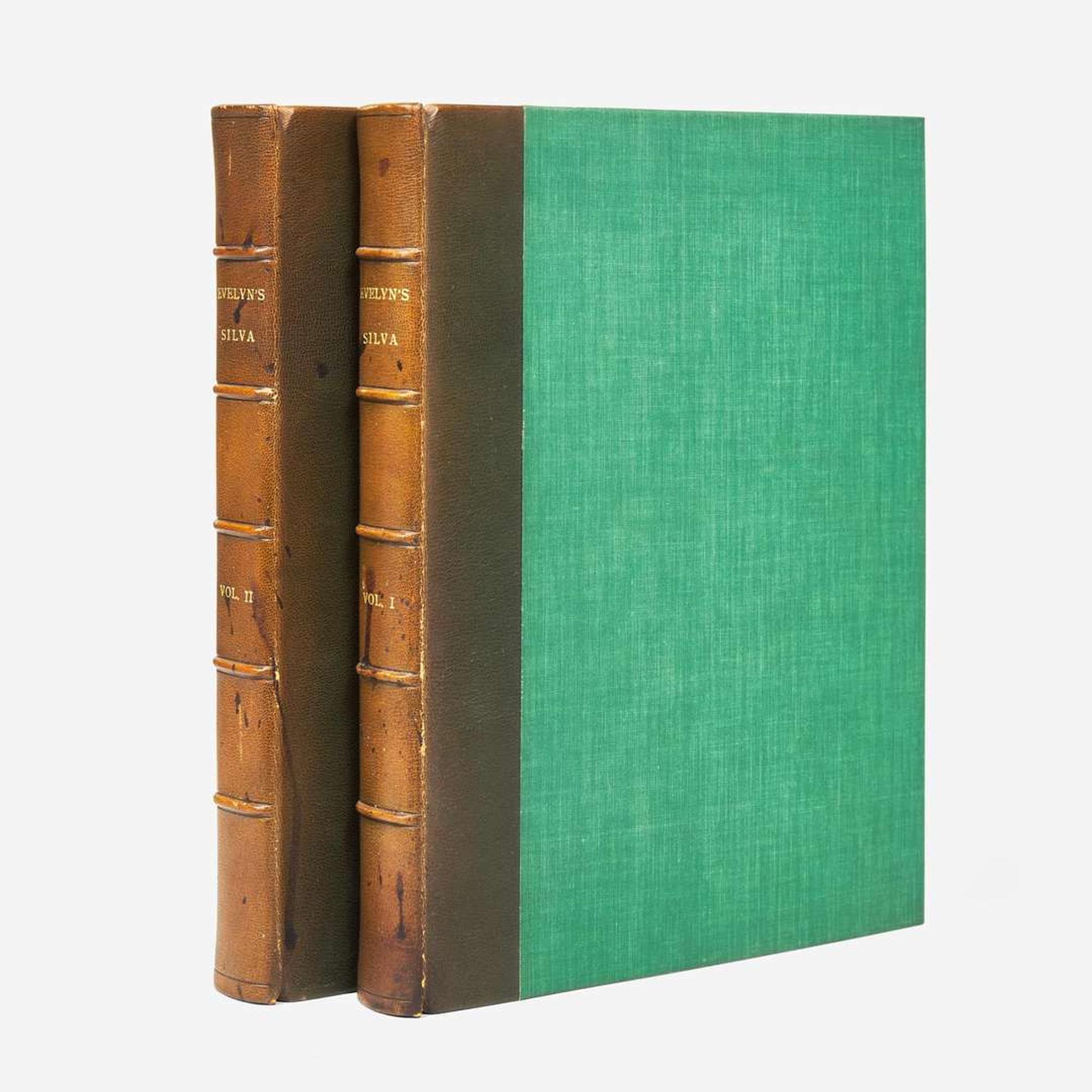 [Natural History] Evelyn, John Silva: Or, A Discourse of Forest-Trees…