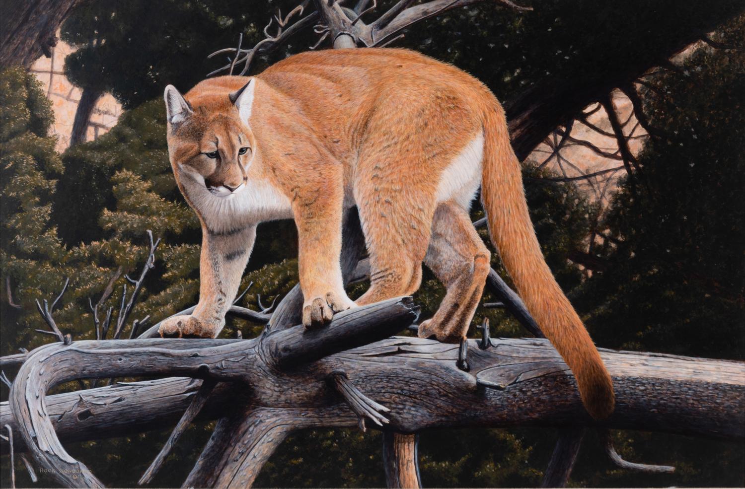 Out on a Limb