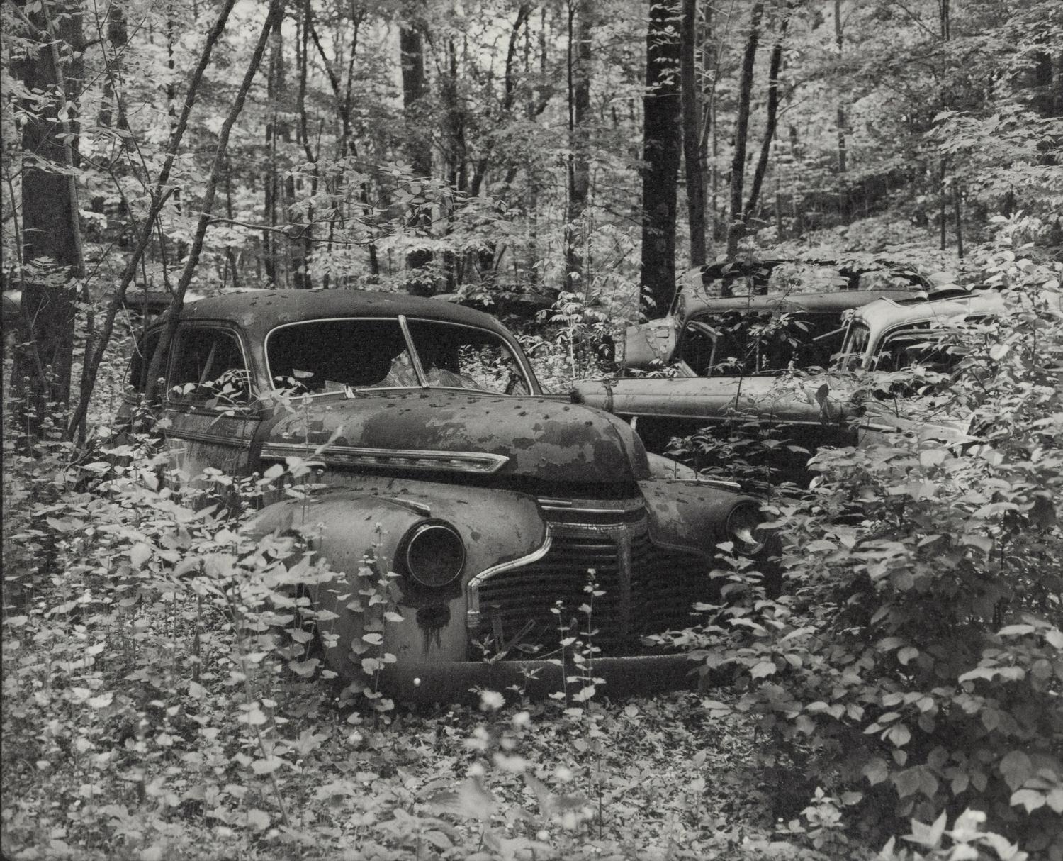 A group of fourteen photographs