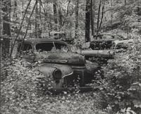 A group of fourteen photographs