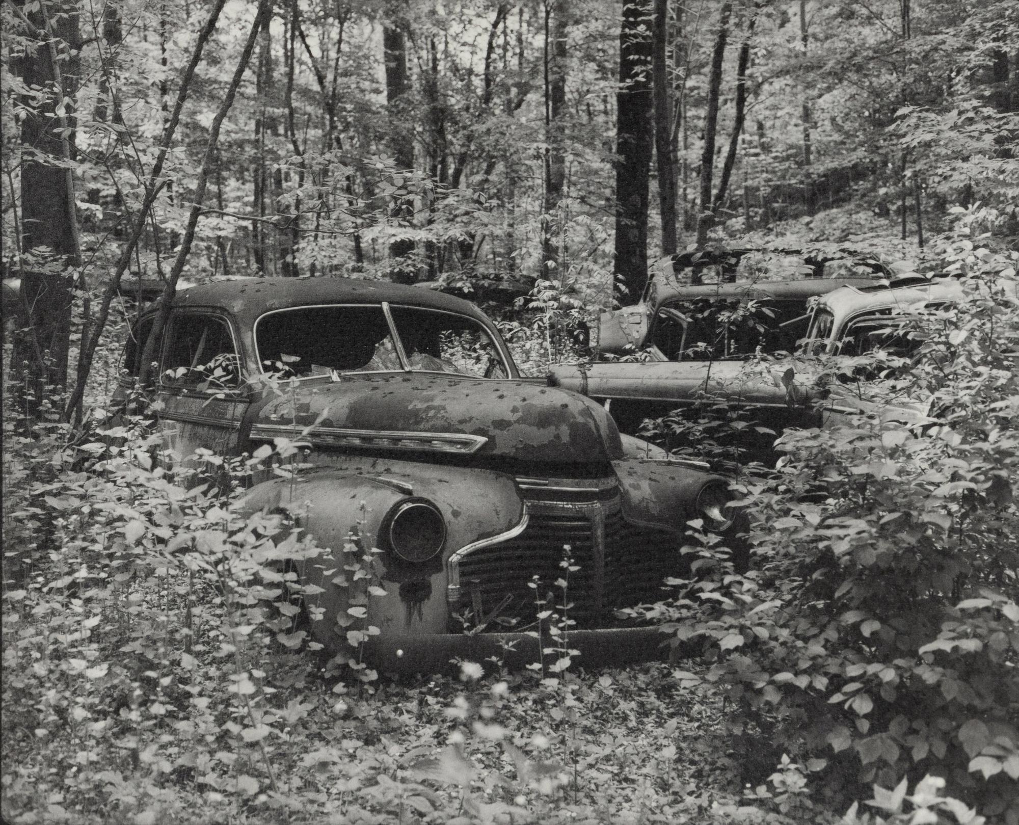 A group of fourteen photographs