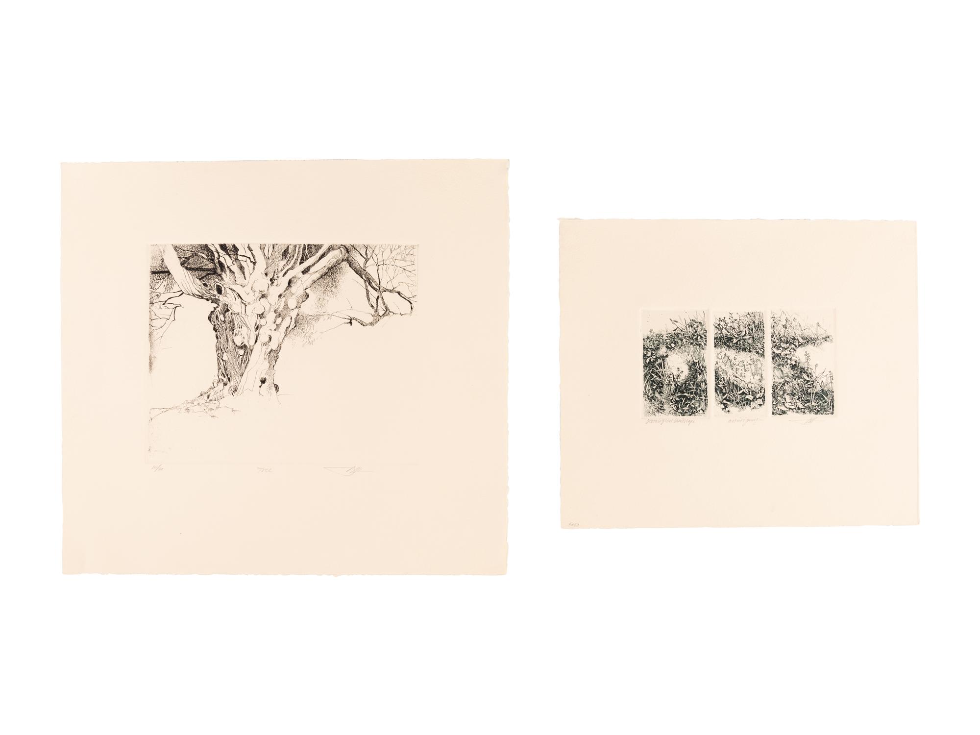 MOSER, Barry. Williston Tree 2. [ca 1979]. 372 x 408 mm. Etching. Captioned and signed in pencil, numbered 10/26. — Scatalogical Landscape. [ca 1979???]. 280 x 329 mm. Triptych on one sheet of separate etchings in dark green ink. Captioned and signed by Moser, inscribed “artist’s proof.”