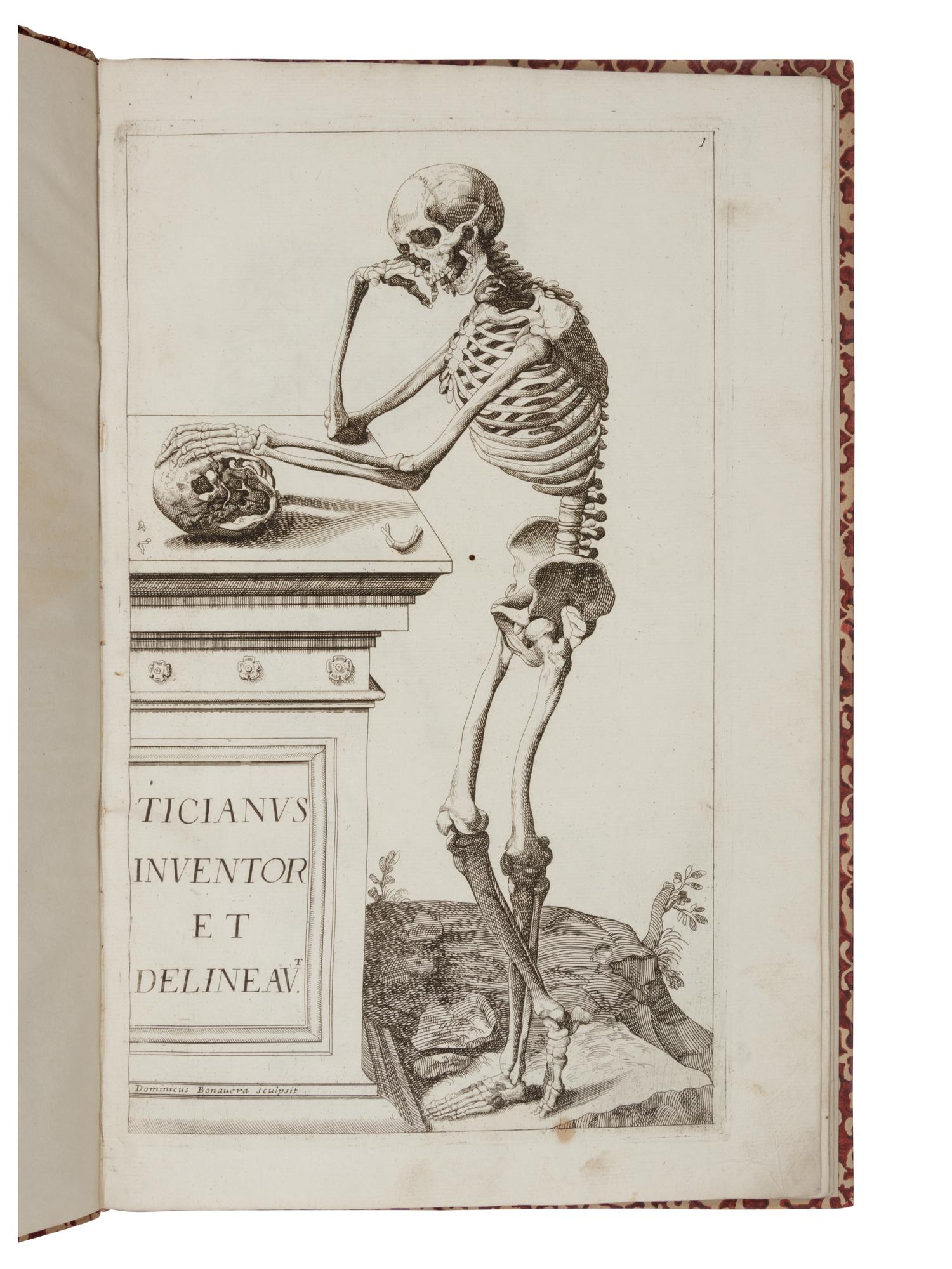 [VESALIUS]. [BONAVERA, Domenico (1653-1731). Notomie de Titiano. Bologna, c. 1670].