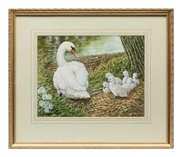 Whistling Swans , 1991