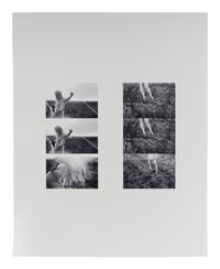 BAM Photography Portfolio IV , (complete set of 11 photographs by 11 artists, with text insert, colophon, and portfolio case)