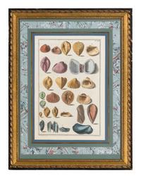 Five Framed Hand-Colored Engravings Depicting Mineral and Shell Specimens