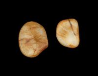 Two Chinese Russet Jade Pebble-Form Snuff Bottles