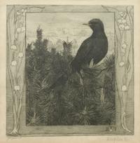 Black Bird