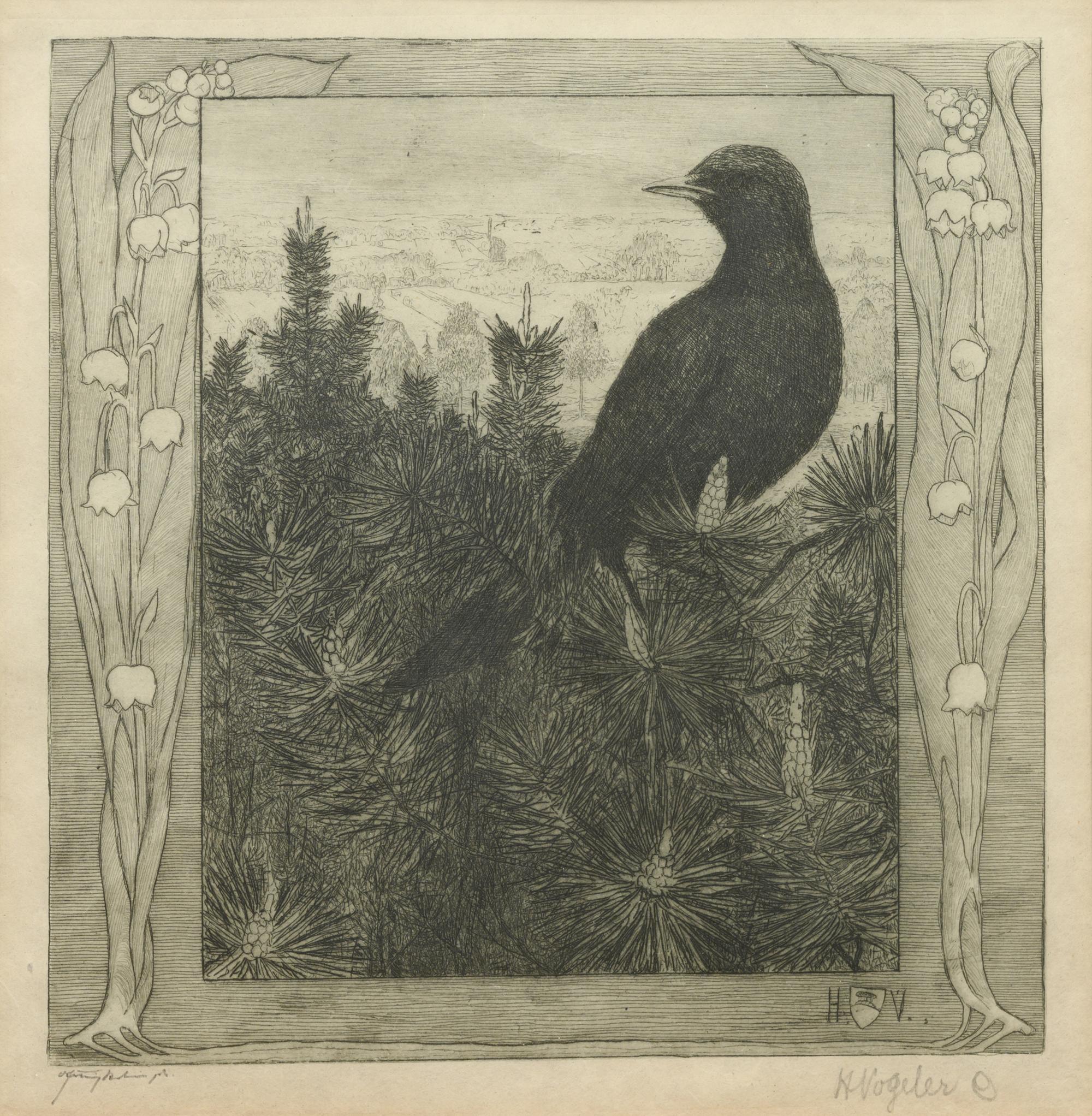 Black Bird
