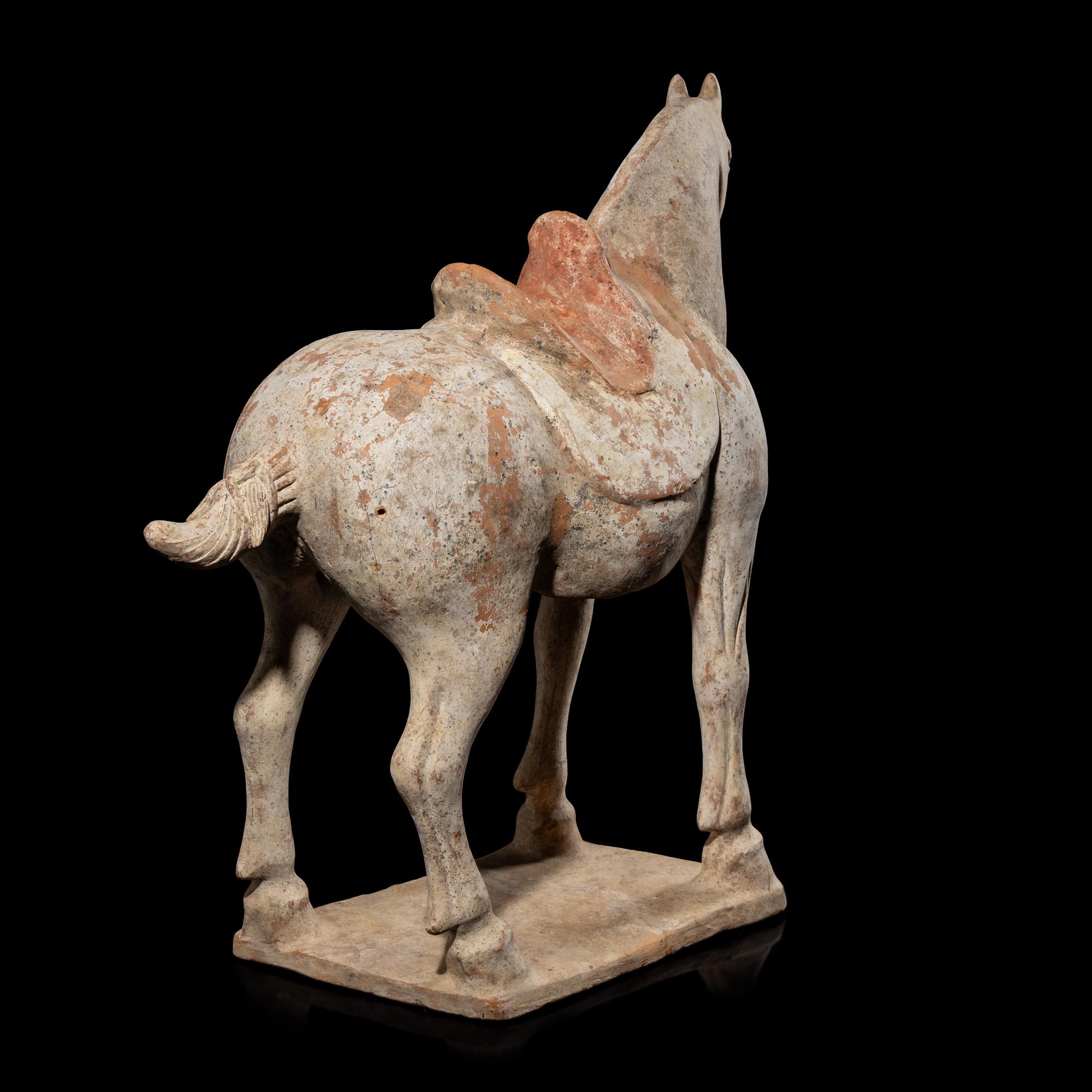 A Chinese Painted Pottery Horse, Tang Dynasty 唐 彩陶馬