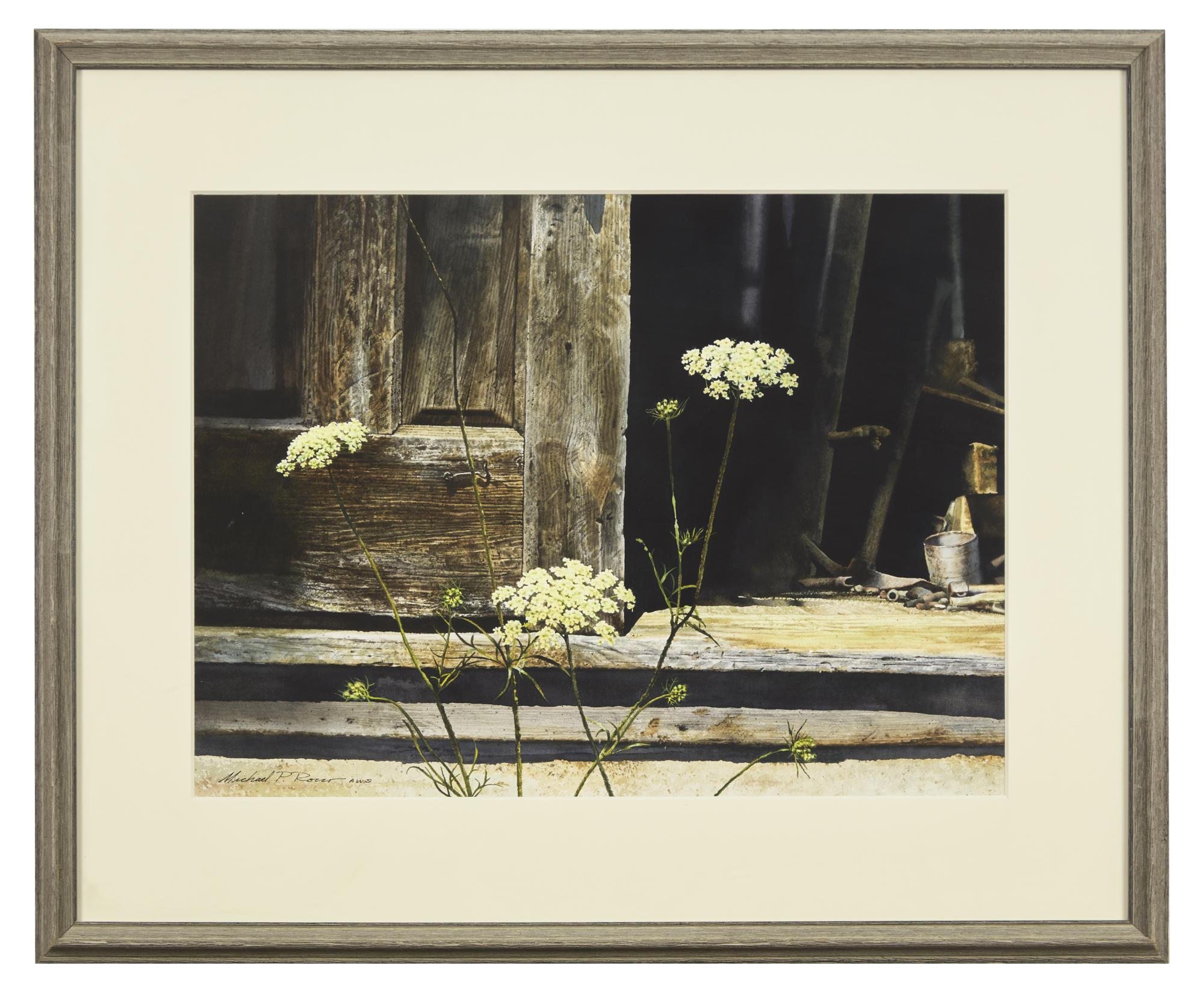 Queen Anne's Lace