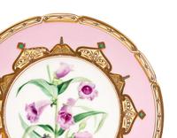 An English Porcelain Dessert Service