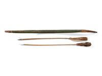 Assiniboine Mountain Lion Bow and Quiver Set