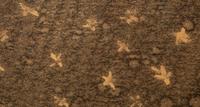 Stars, Moon and Sea