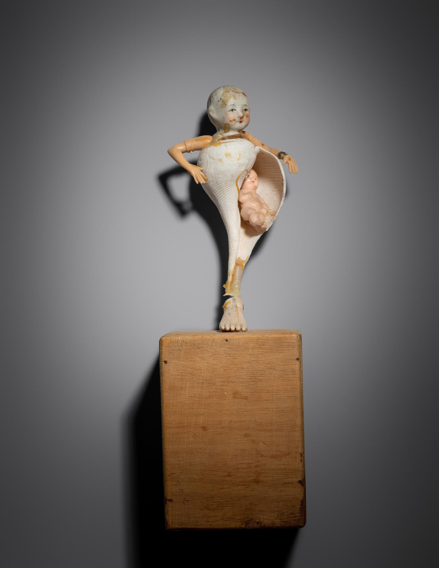 Untitled (Baby Doll Conch Shell Rattle)
