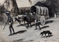 The Market Cart