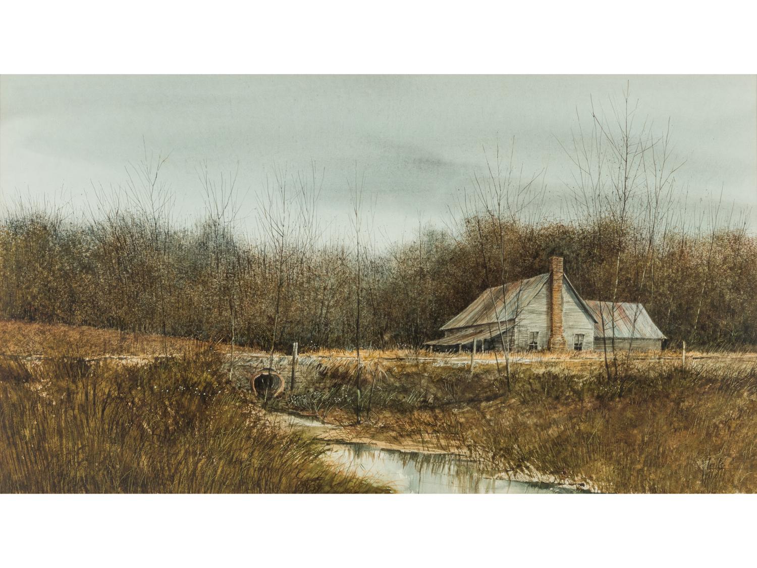 Forest Landscape