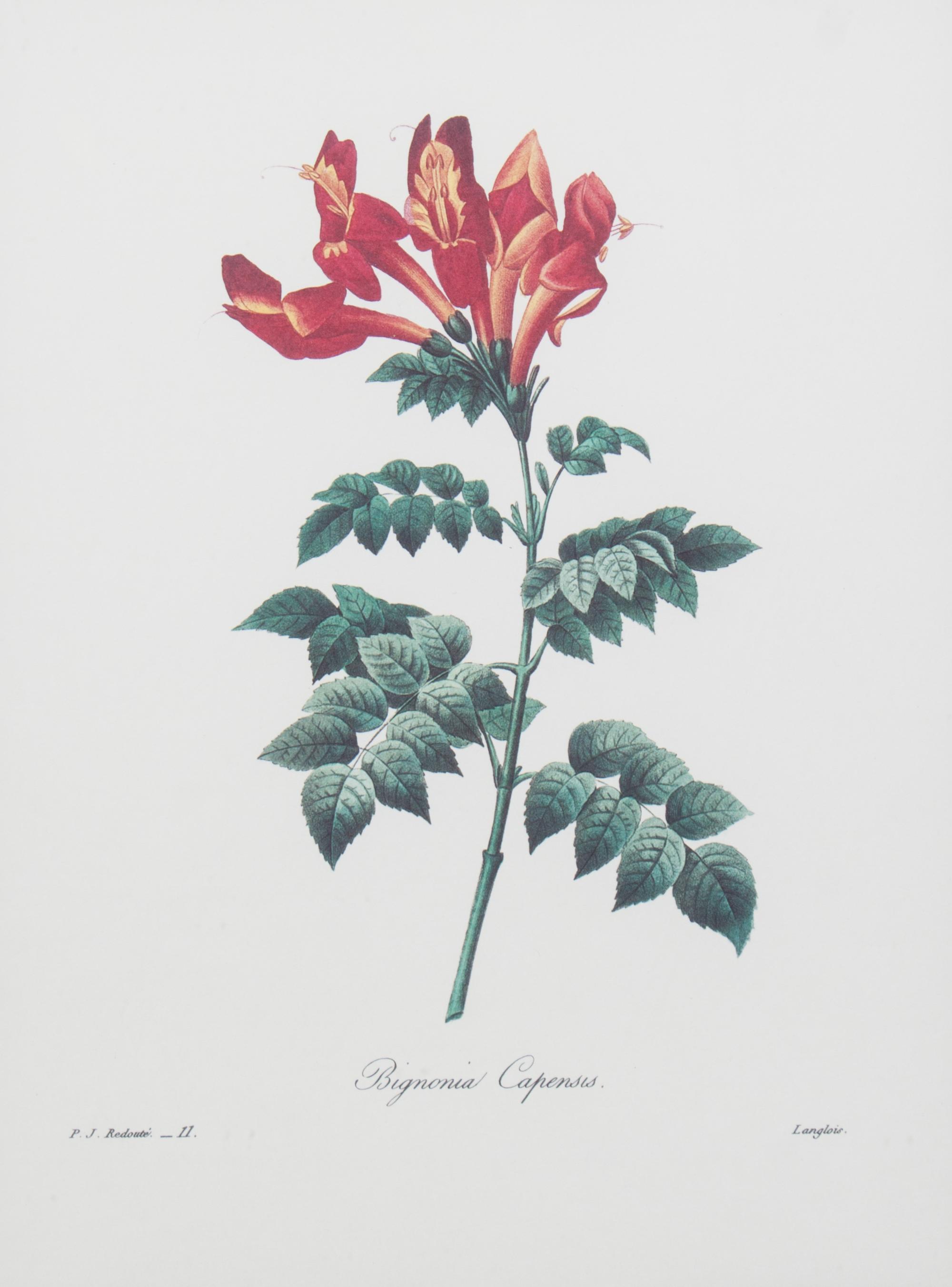 A Handcolored Engraving Height of frame 20 1/4 x width 17 1/4 inches.