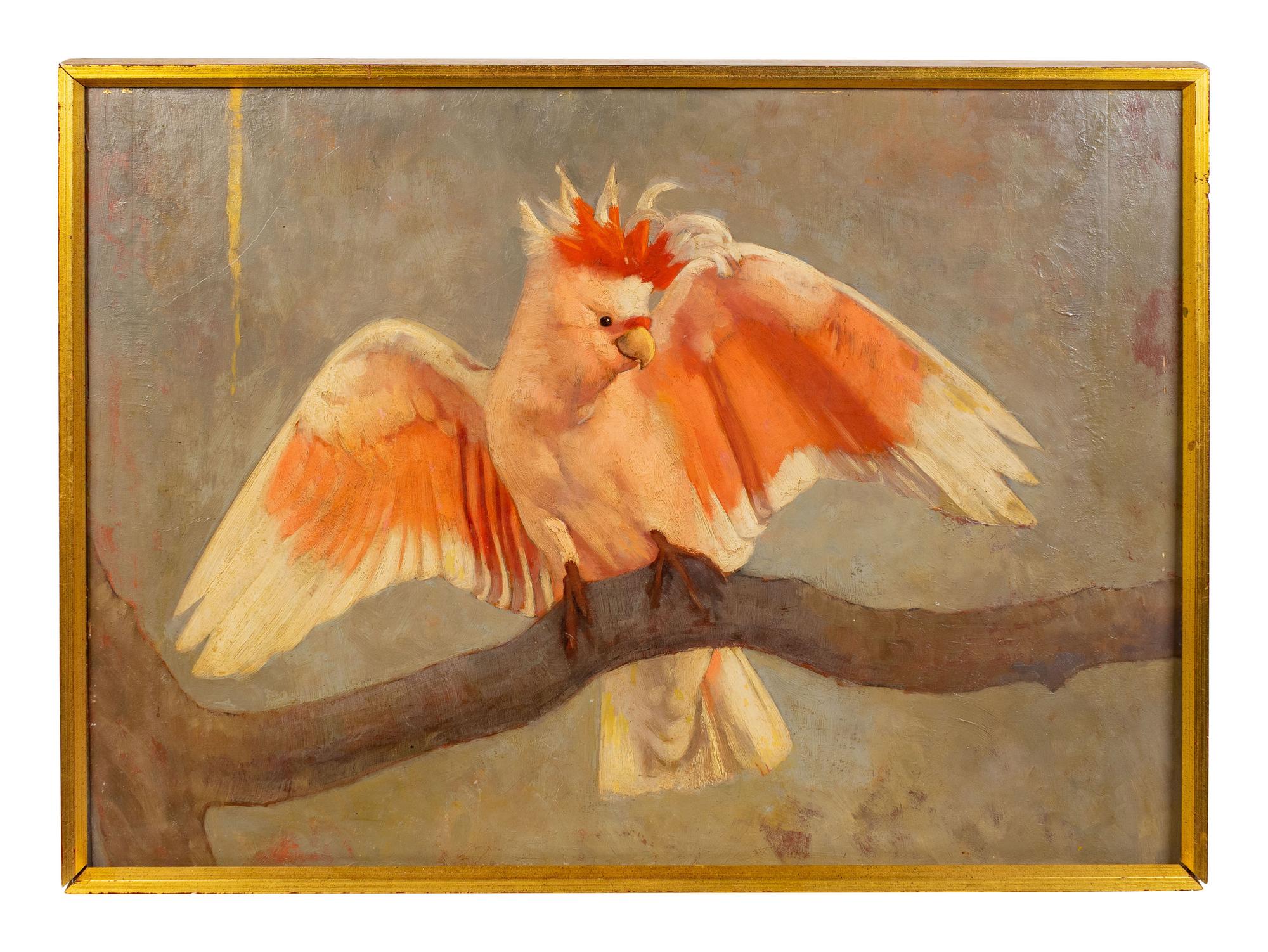 Cockatoo