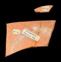 Two Attic Black-Figured Vase Fragments