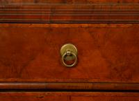 A George II Burl Walnut Secretary — 19TH CENTURY
