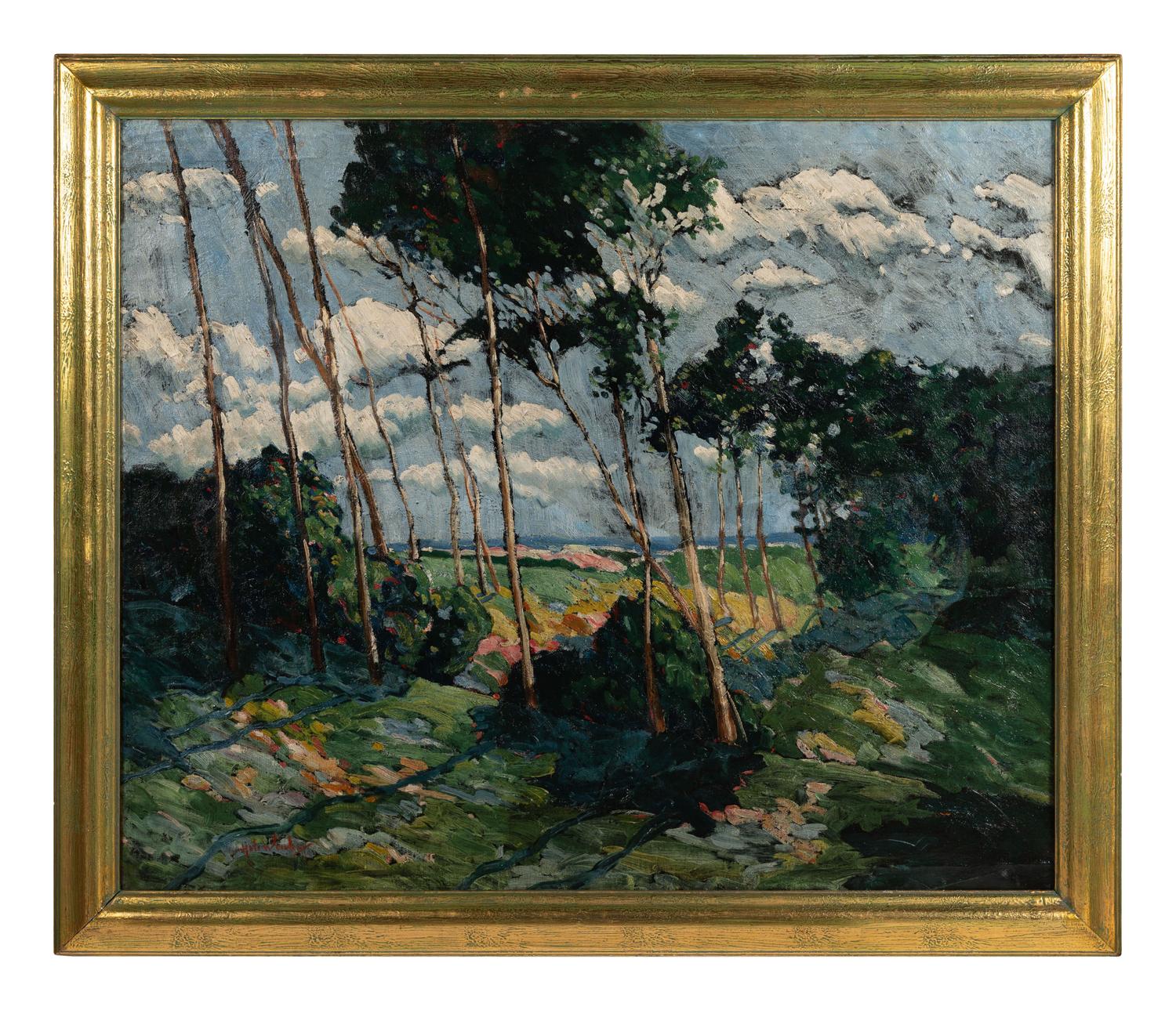 Windblown Trees