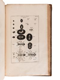 SWAMMERDAM, Jan (1637-1680). The Book of Nature; or, The History of Insects: Reduced to Distinct Classes, Confirmed by Particular Instances, Displayed in the Anatomical Analysis of Many Species .... London; for C. G. Seyffert, 1758.