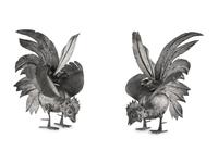 A Pair of Continental Silvered-Metal Roosters