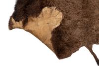 A Buffalo Hide Rug