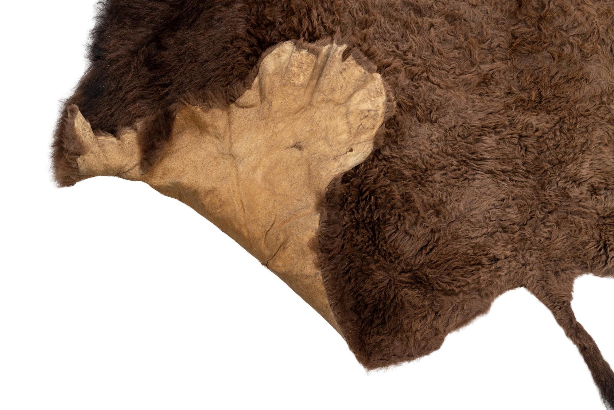A Buffalo Hide Rug