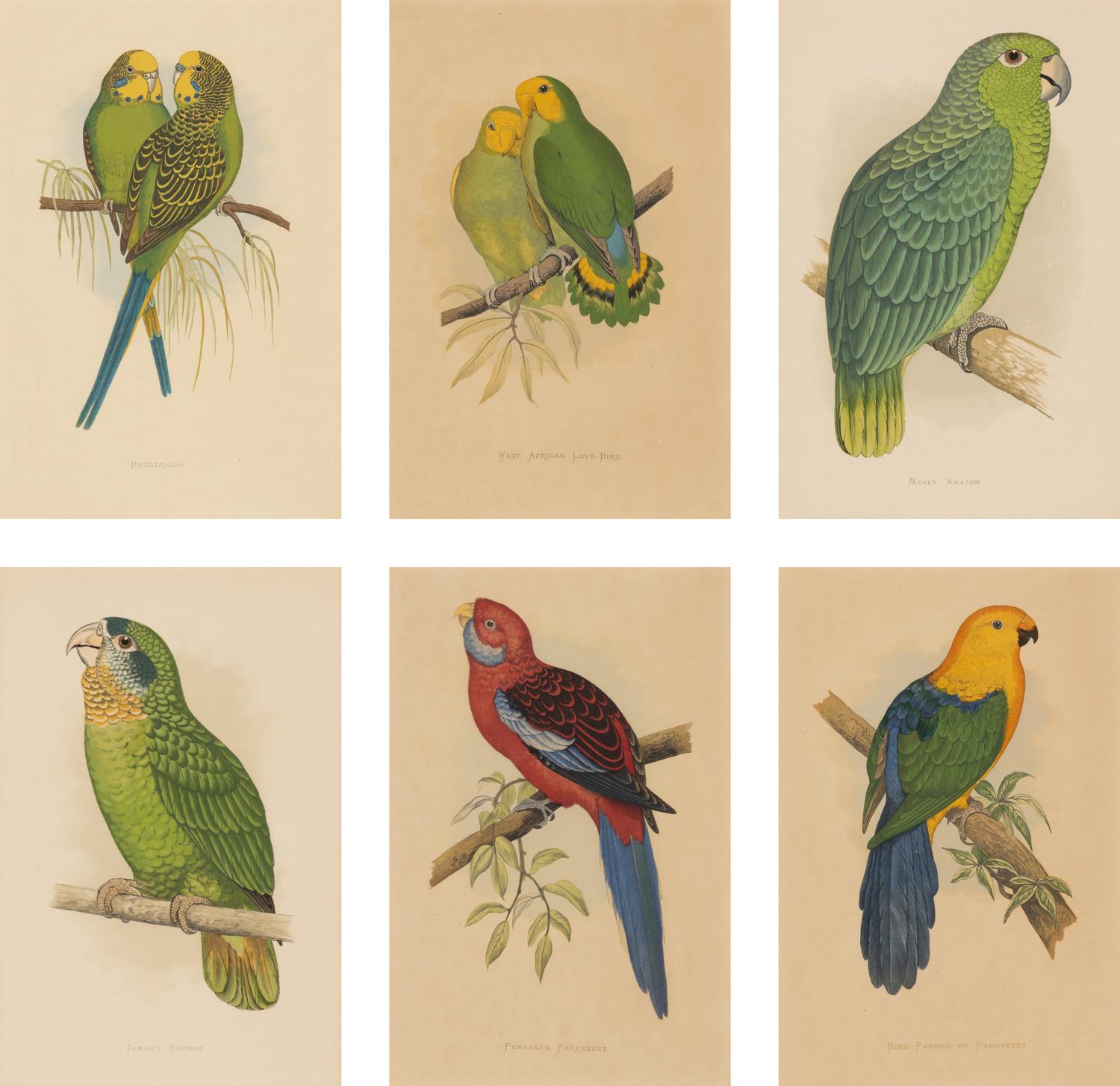 William Thomas Greene (English, 19th Century) — Parrots in Captivity (six plates, after Alexander F. Lydon)