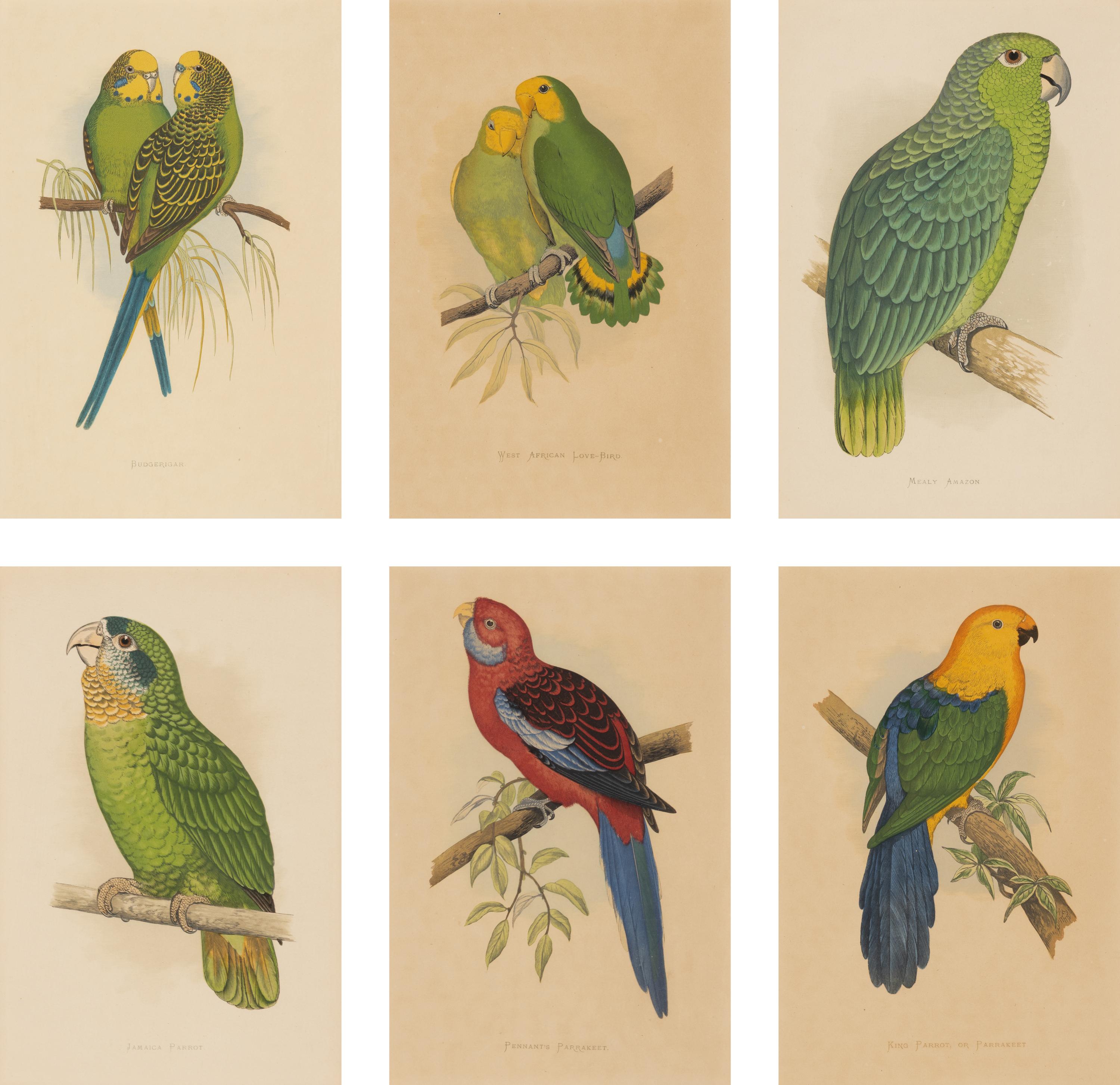 William Thomas Greene (English, 19th Century) — Parrots in Captivity (six plates, after Alexander F. Lydon)