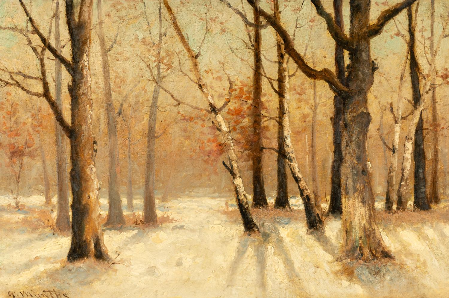 Snow and Trees