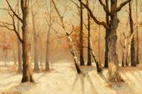Snow and Trees