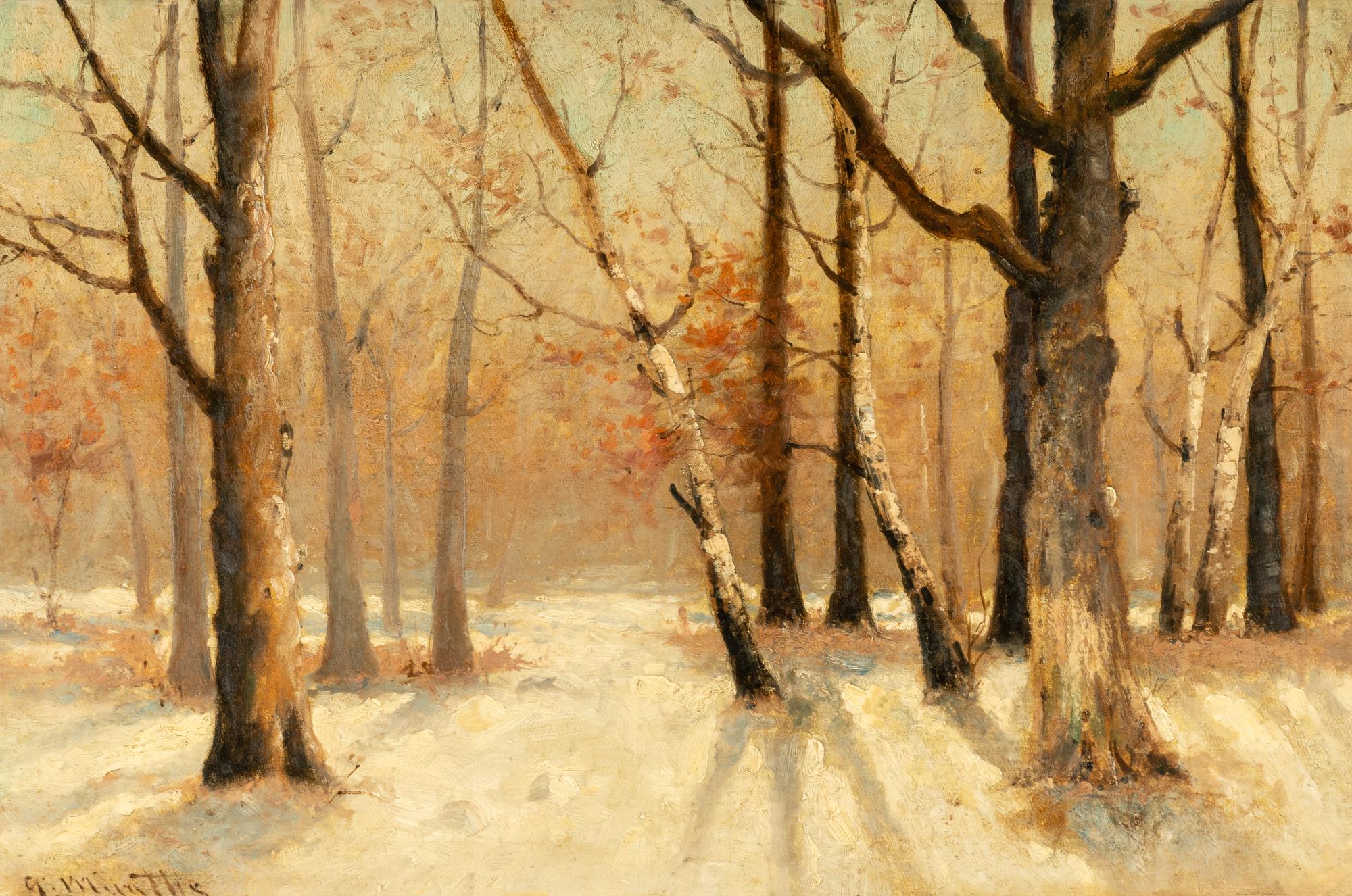 Snow and Trees