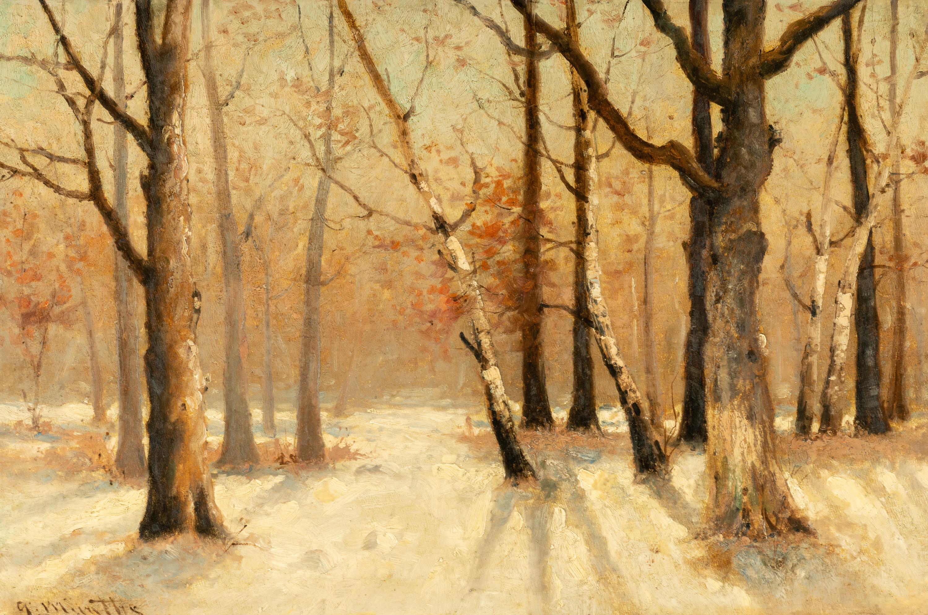 Snow and Trees
