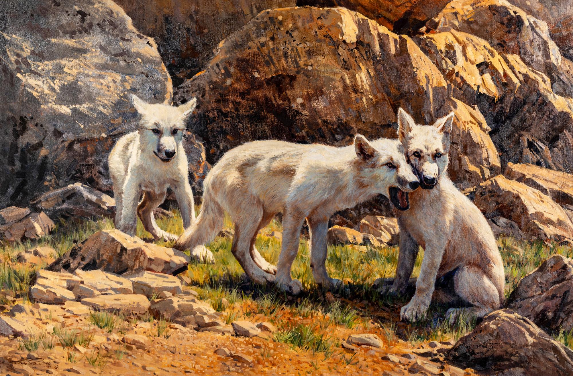 Arctic Wolf Pups