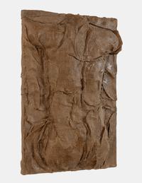 Untitled , 1978