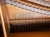 A Steinway & Sons Model B Grand Piano