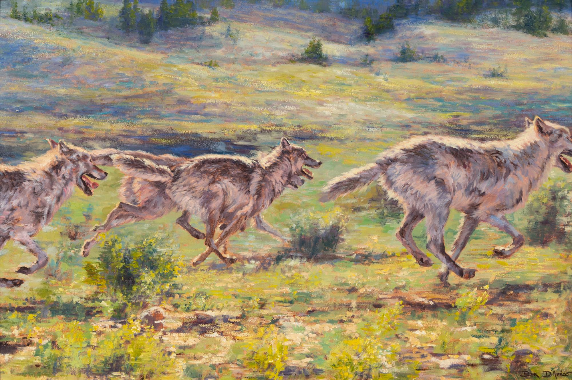Free at Last (Wolves Return to Yellowstone) , 1996