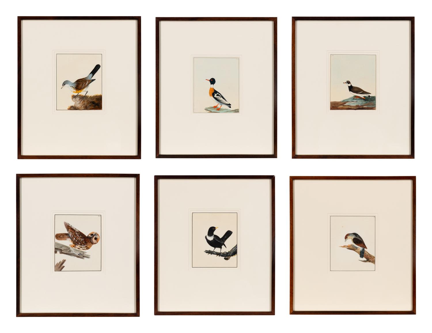 Six Bird Portraits