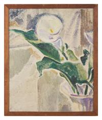 Calla Lily