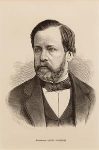 PASTEUR, Louis (1822-1895). Autograph letter signed ("L. Pasteur"), in French, to an unnamed recipient. Paris, 14 May 1886.