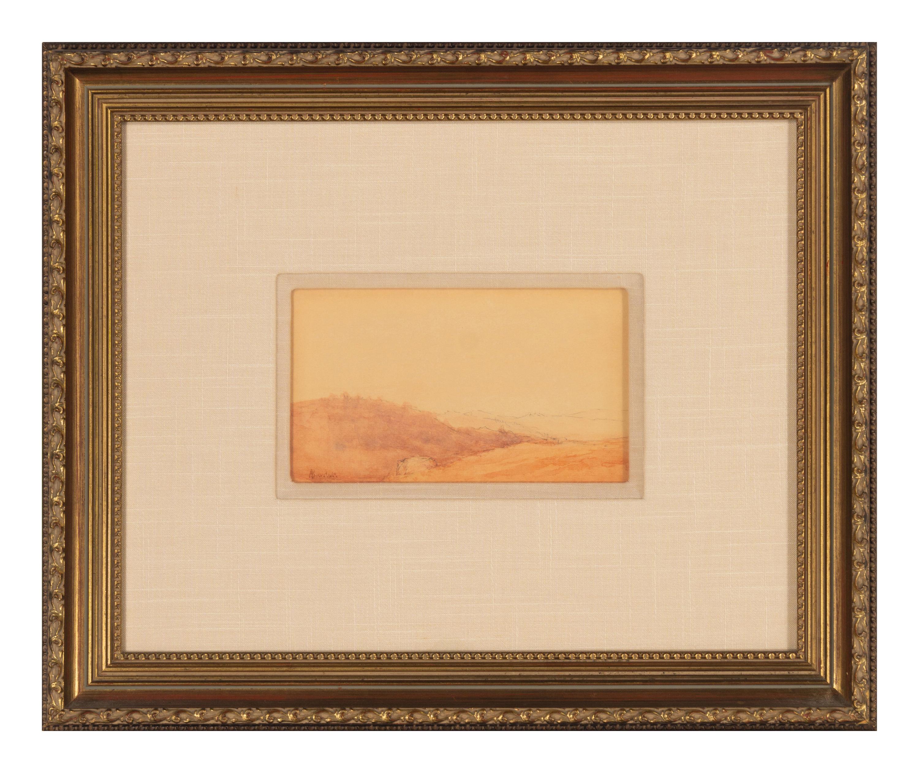 Landscape Study
