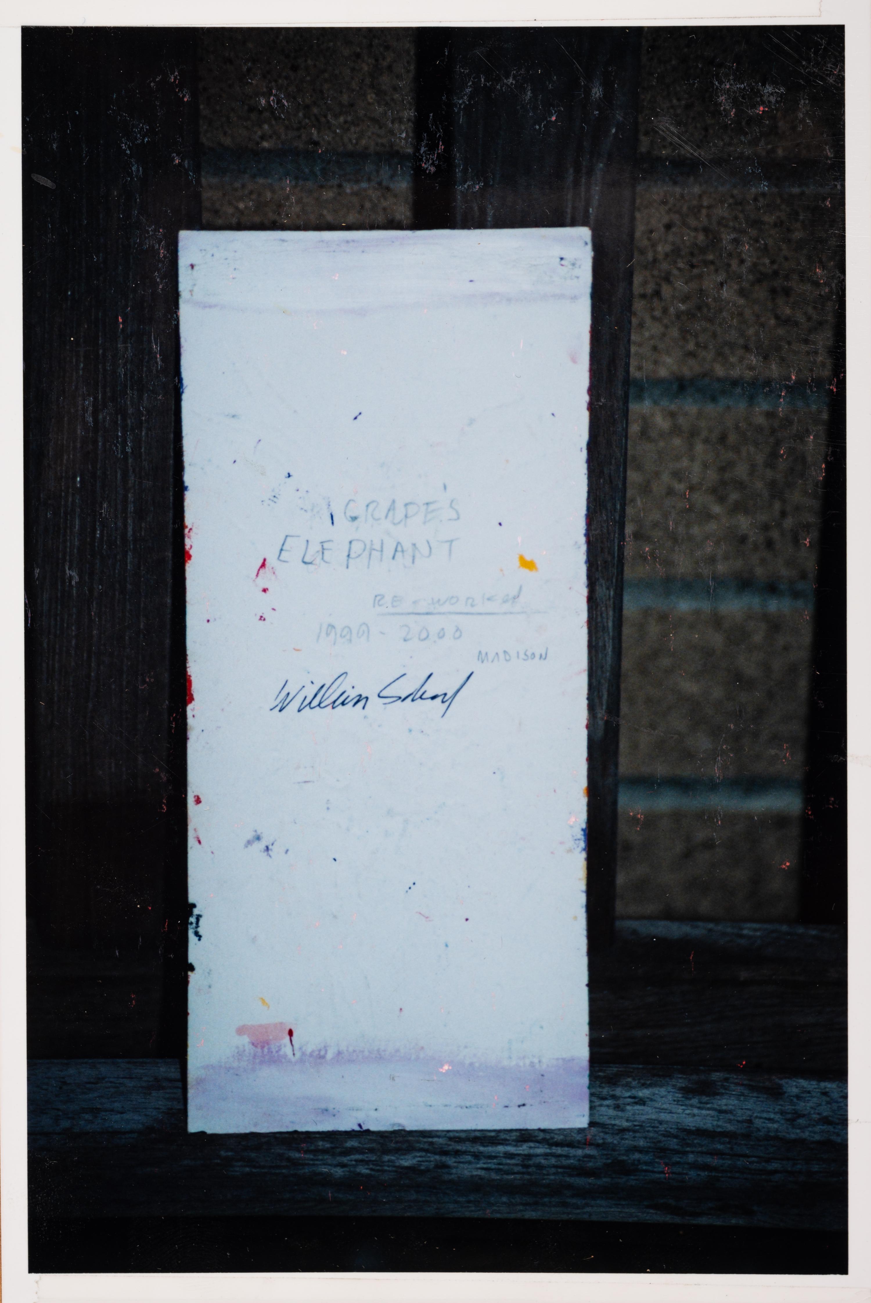 Vegetable Oracle, Grape's Elephant, A Tryst of Ulnas, Untitled, Lung Prisoner, Coronation of the Moth and Spinal Task, c. 1999-2002 (a group of 7 works)