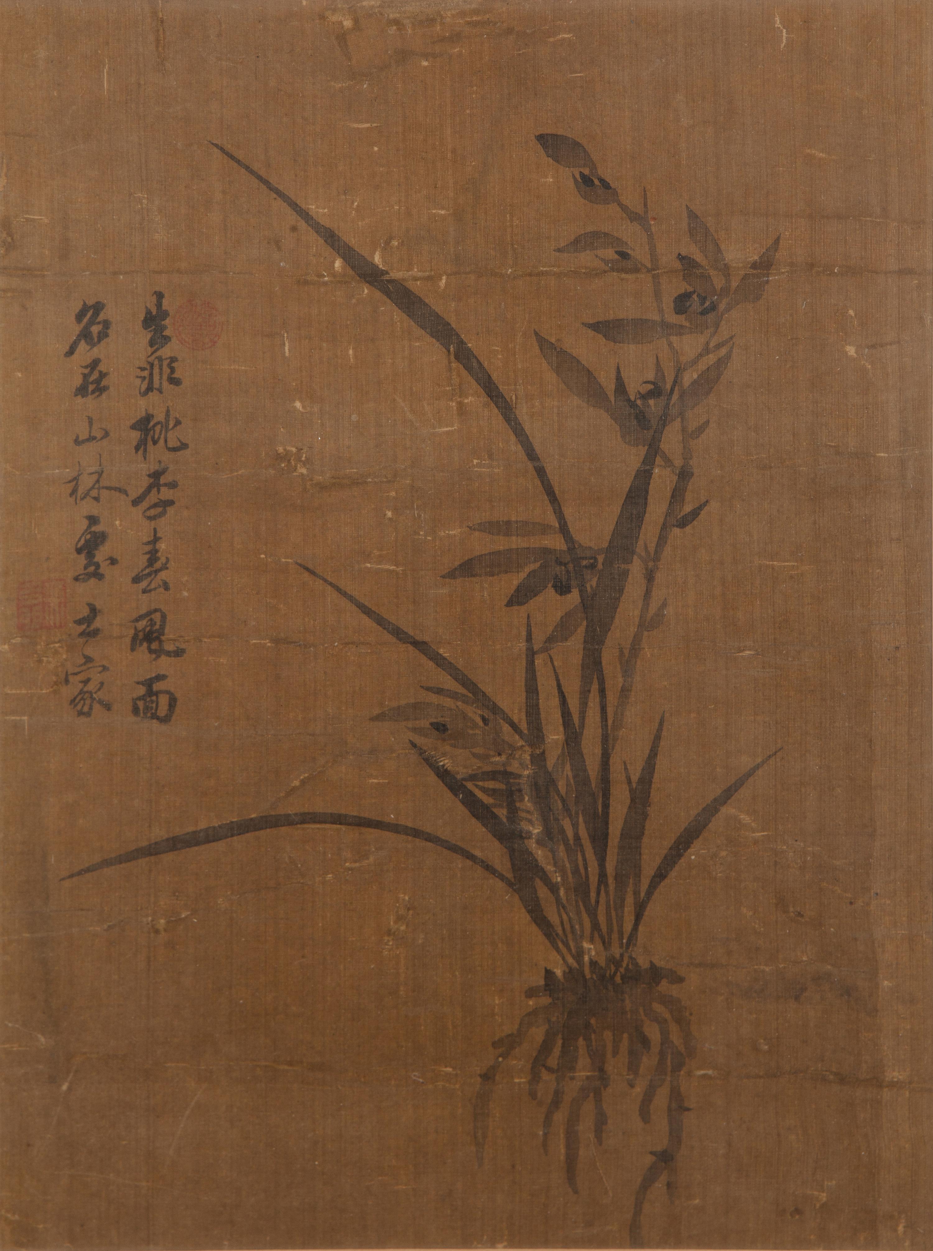 Chen Zhanting