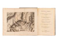 [GEOLOGY]. A group of 16 works, including: