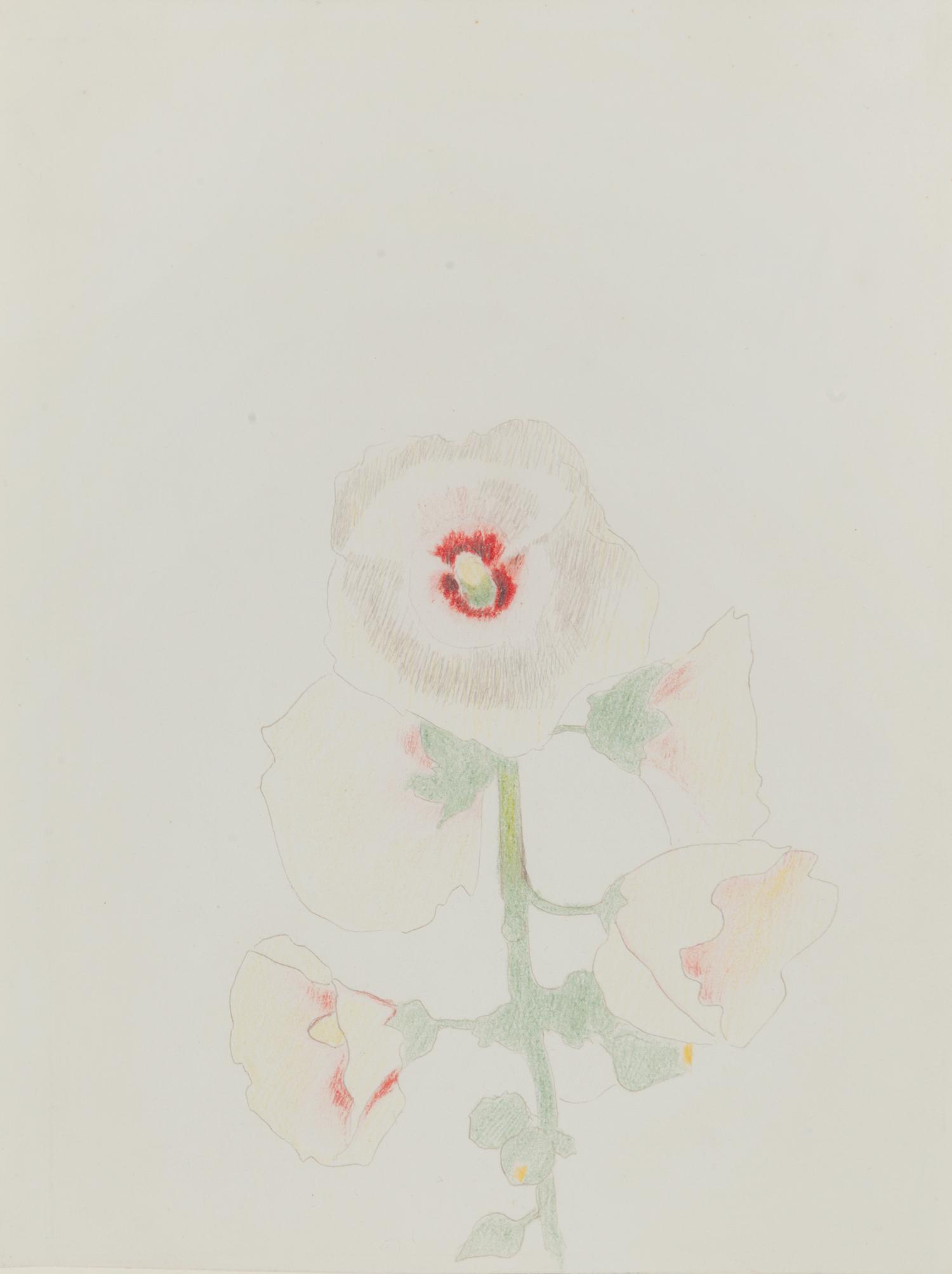 Hollyhocks , c. 1919