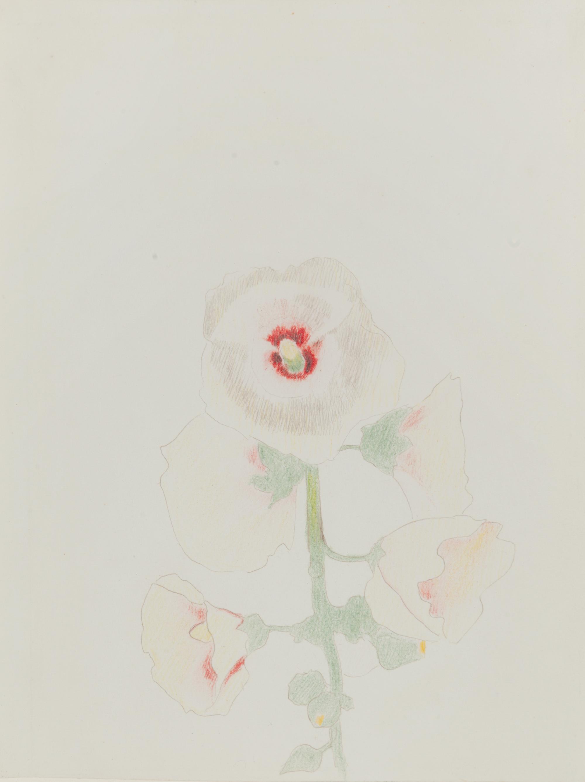 Hollyhocks , c. 1919