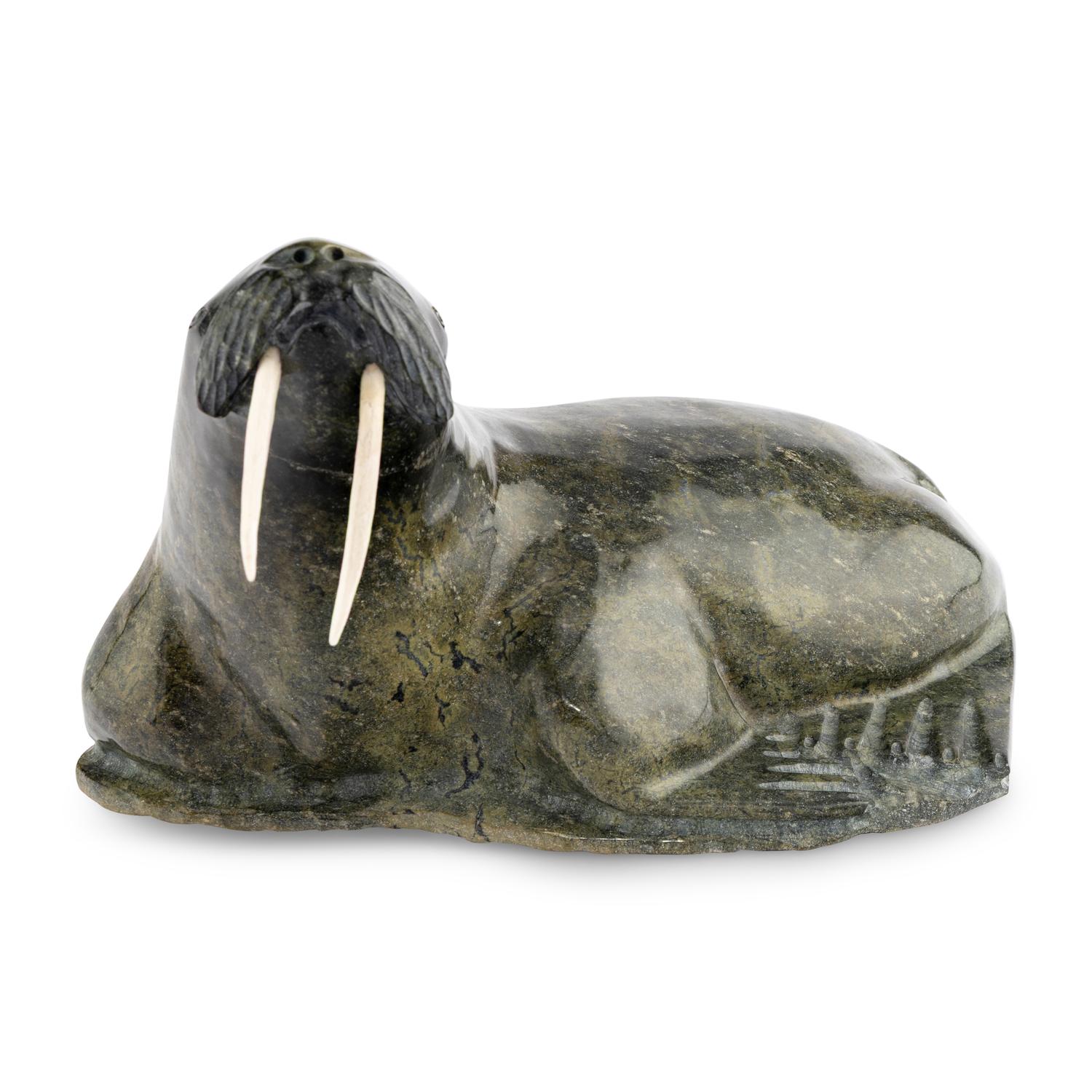 Walrus